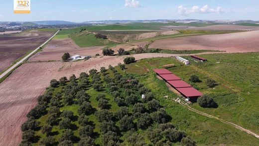 Landhaus / Bauernhof in El Bosque, Cádiz