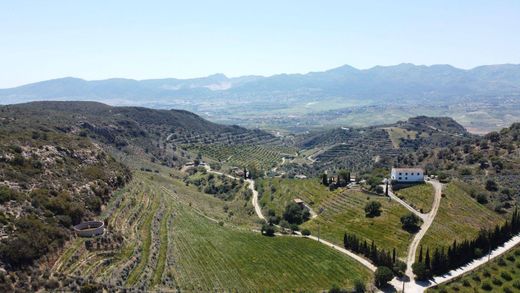 Rustykalny lub Wiejski w Málaga, Provincia de Málaga