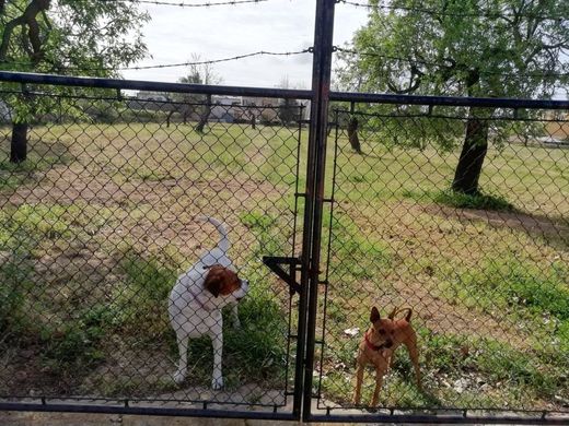 Grond in Consell, Balearen