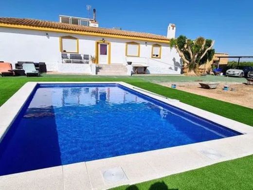 Villa - San Miguel de Salinas, Provincia de Alicante