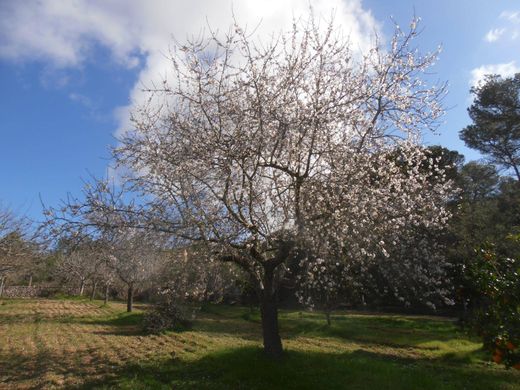 Terreno en Felanitx, Islas Baleares