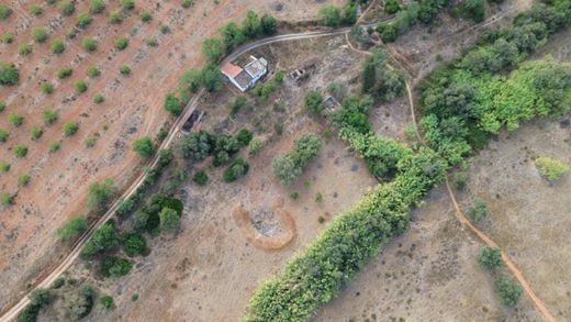 토지 / Albufeira, Distrito de Faro