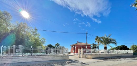 Elche, アリカンテの一戸建て住宅