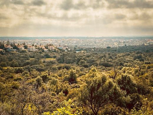 Land in Loulé, Distrito de Faro