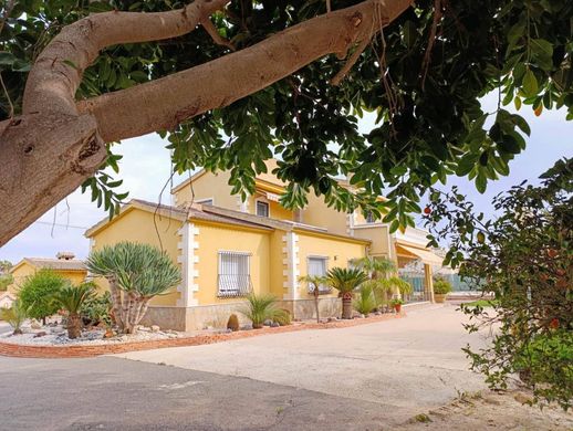 Detached House in Elche, Alicante