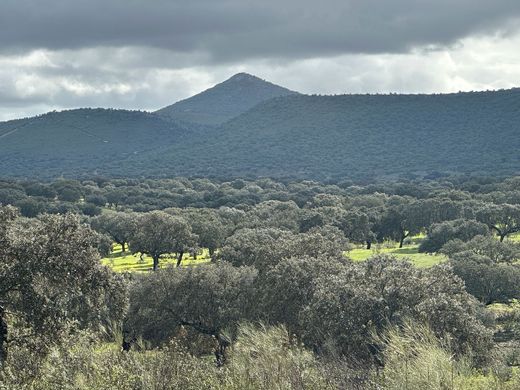 Land in Salorino, Caceres