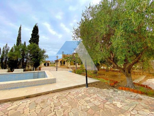 Detached House in San Vicent del Raspeig, Alicante