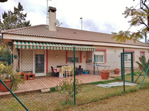 Maison individuelle à San Vicent del Raspeig, Alicante