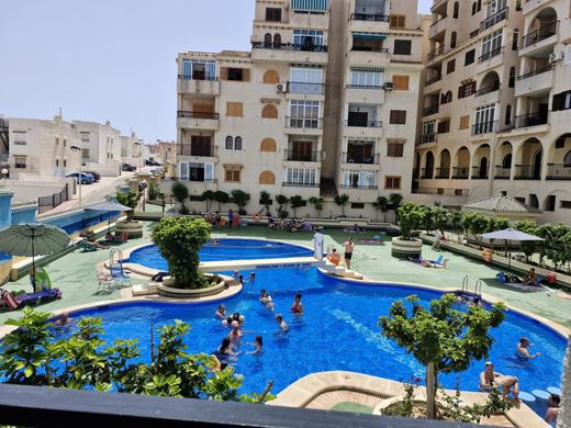 Apartamento - Torrevieja, Provincia de Alicante