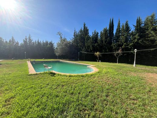 Terreno en Jerez de la Frontera, Cádiz