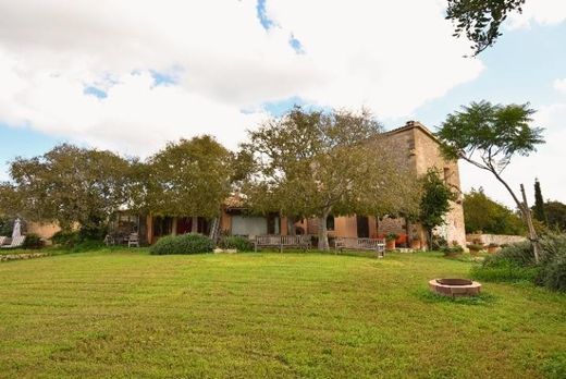 パルマ・デ・マリョルカ, Illes Balearsのカントリー風またはファームハウス