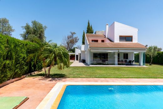 Detached House in Aznalcázar, Province of Seville