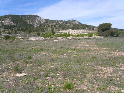 Участок, Pinoso, Provincia de Alicante