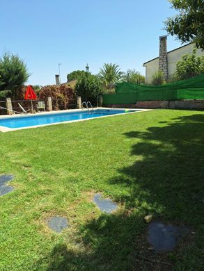 Detached House in El Molar, Province of Madrid