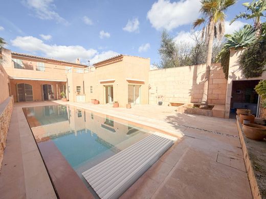 豪宅  Ses Salines, Illes Balears