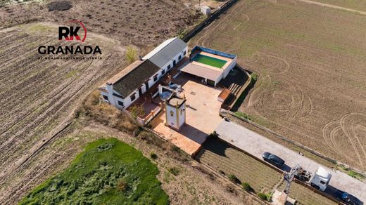 전원/농가 / Granada, Provincia de Granada