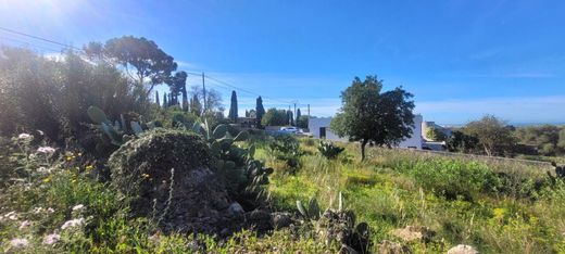 Участок, Маррачи, Illes Balears