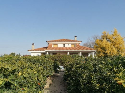 Einfamilienhaus in Murcia, Provinz Murcia