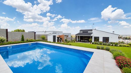 Detached House in Carrascal de Barregas, Salamanca