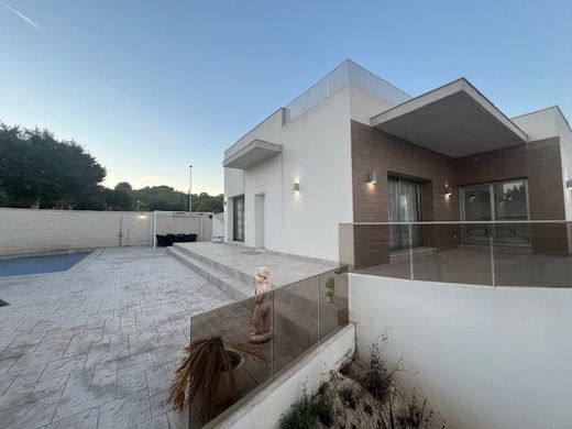 Villa in San Miguel de Salinas, Alicante