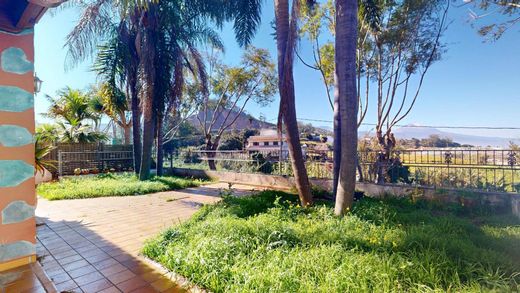Detached House in Tacoronte, Province of Santa Cruz de Tenerife