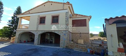 Dom jednorodzinny w Elx, Provincia de Alicante