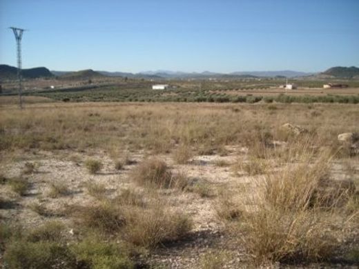 Arsa Calasparra, Murcia