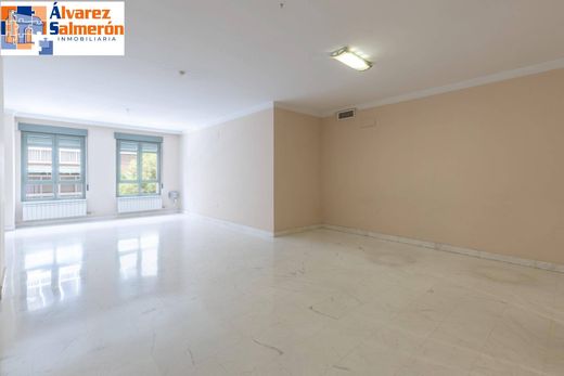 Piso / Apartamento en Granada, Provincia de Granada