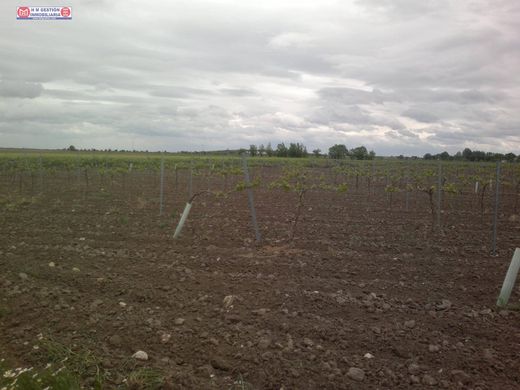 Участок, Томельосо, Provincia de Ciudad Real