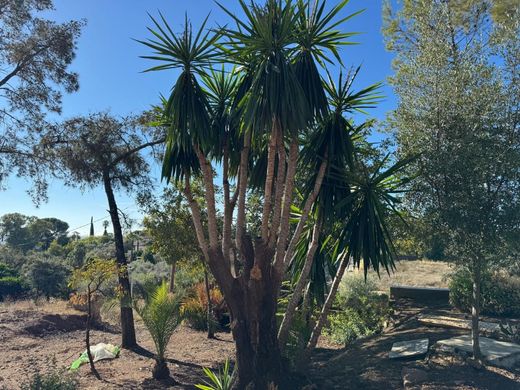 Detached House in Cordova, Province of Córdoba