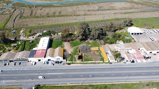 Terreno - Huelva, Provincia de Huelva