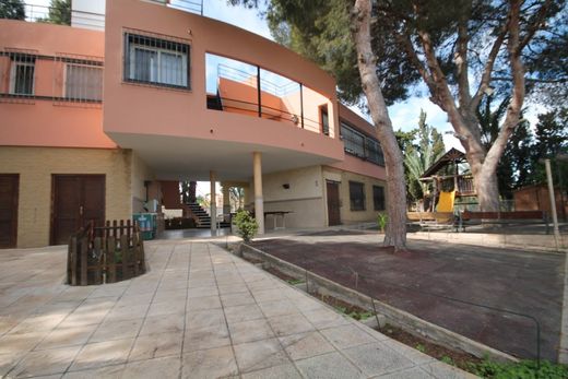 Detached House in Torrevieja, Alicante