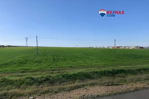 地皮  Valverde de Mérida, Provincia de Badajoz