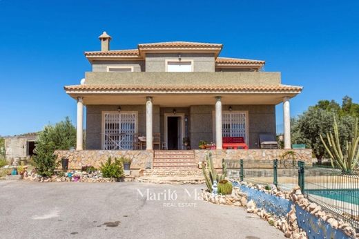 Detached House in Alicante, Valencia