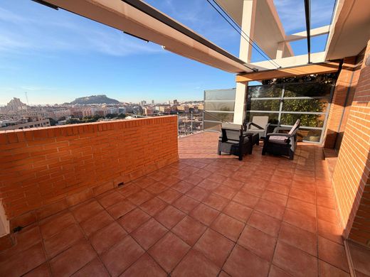 Cobertura - Alicante, Provincia de Alicante