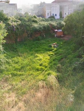 Vigo, ポンテベドラの土地