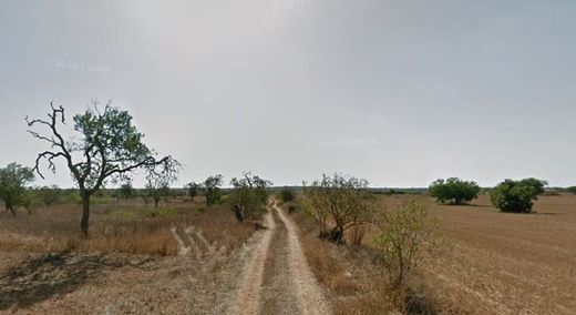Ses Salines, Illes Balearsの土地