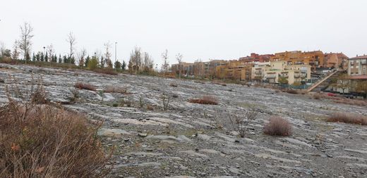Teren w Salamanka, Provincia de Salamanca