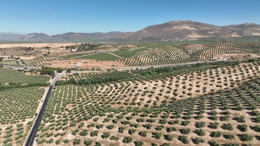 Terreno - Albolote, Provincia de Granada
