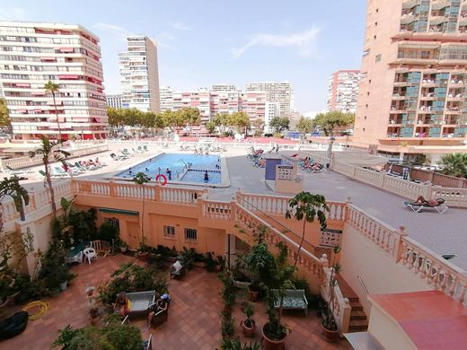 Apartamento - Benidorm, Provincia de Alicante