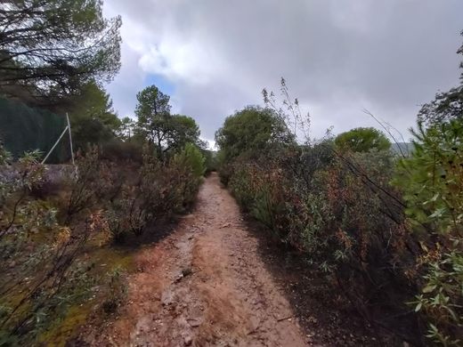 Terrain à Cordoue, Andalousie
