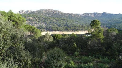 San Martín de Valdeiglesias, マドリッドの土地