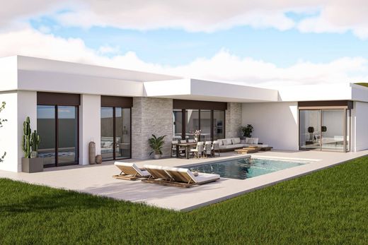 Villa in Pinoso, Alicante