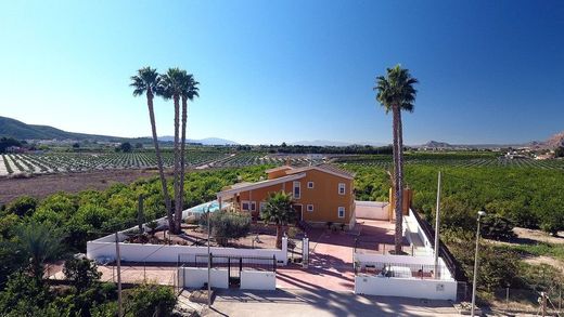 Boerderij in Orihuela, Provincia de Alicante