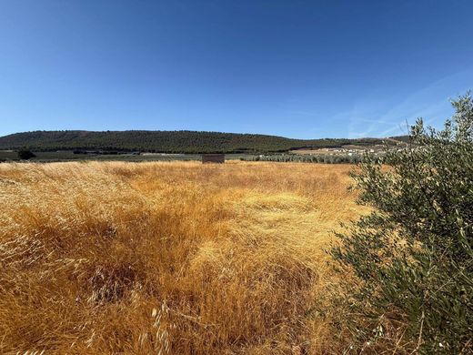 Terreno - Humilladero, Málaga