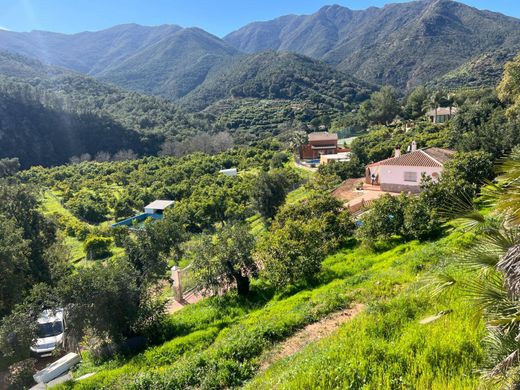 Boerderij in Coín, Provincia de Málaga