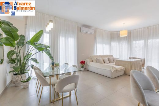 Apartment in Granada, Andalusia