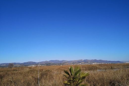 Land in La Llosa, Castellon