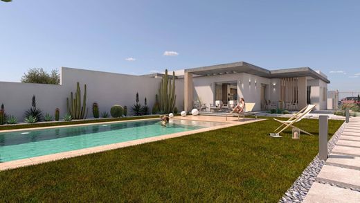 Villa Santiago de la Ribera, Murcia