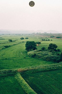Terreno a Estepona, Málaga